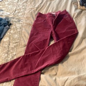 Madewell velvet burgundy pants